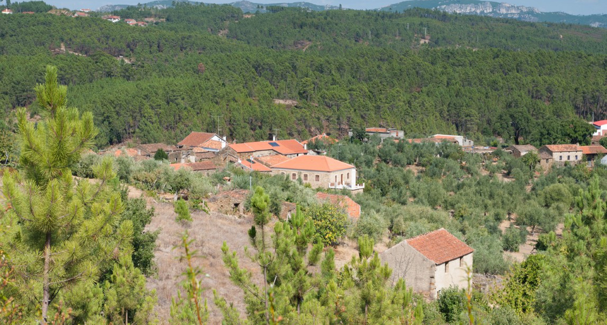 Turismo e Empreendedorismo no Interior