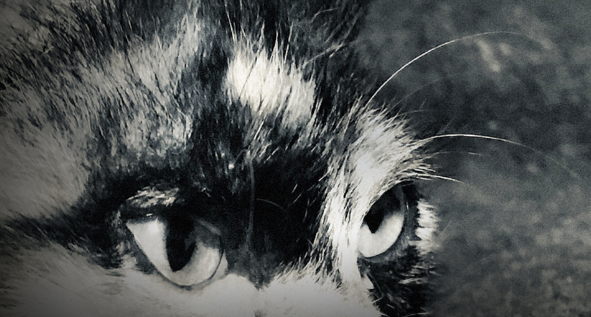 XJazz- Encontros do Jazz nas Aldeias do Xisto 2021