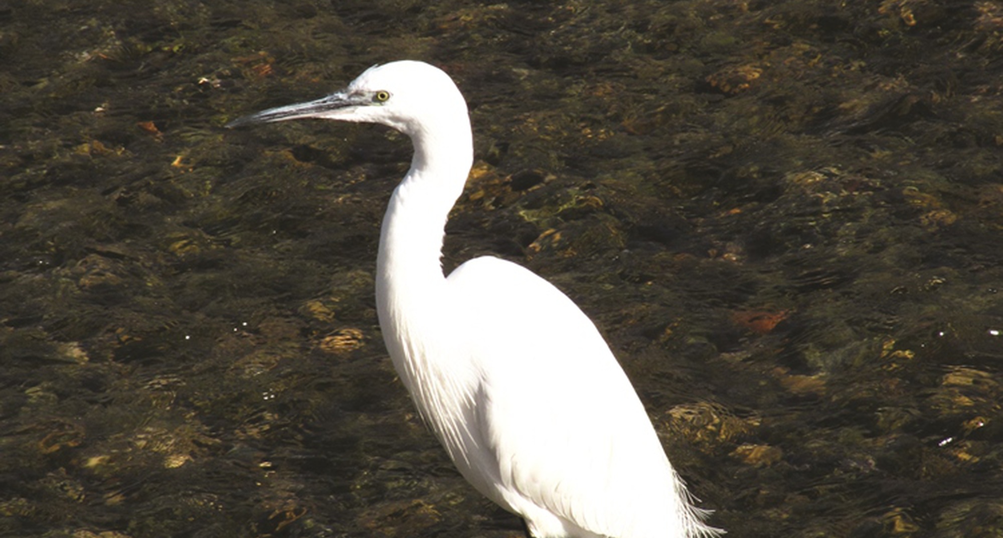 Launch of the GRZ- Grande Rota do Zêzere trail - Municipality of Constância