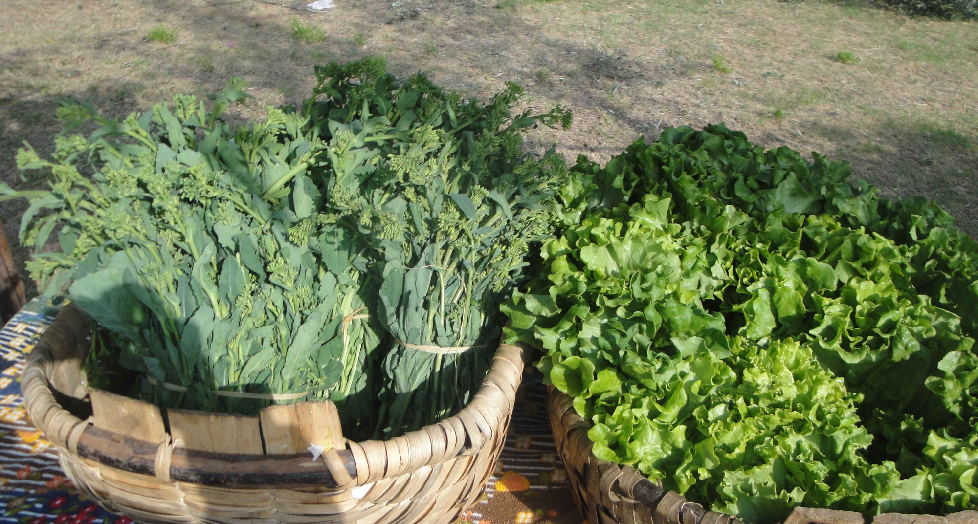 Inauguration of the Coirela das Agostinhas nucleus