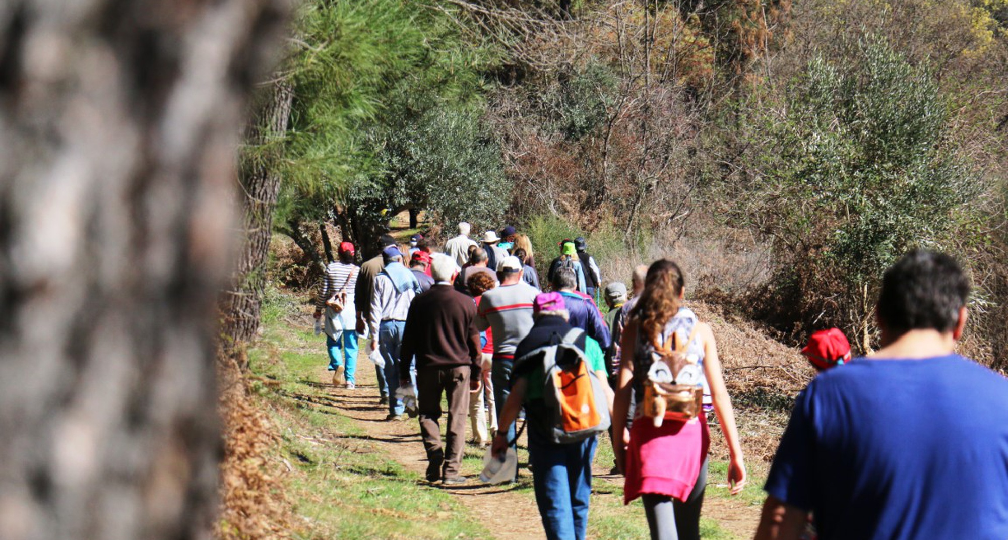 Carnival is on the Porto de Vacas Schist Walking Trail