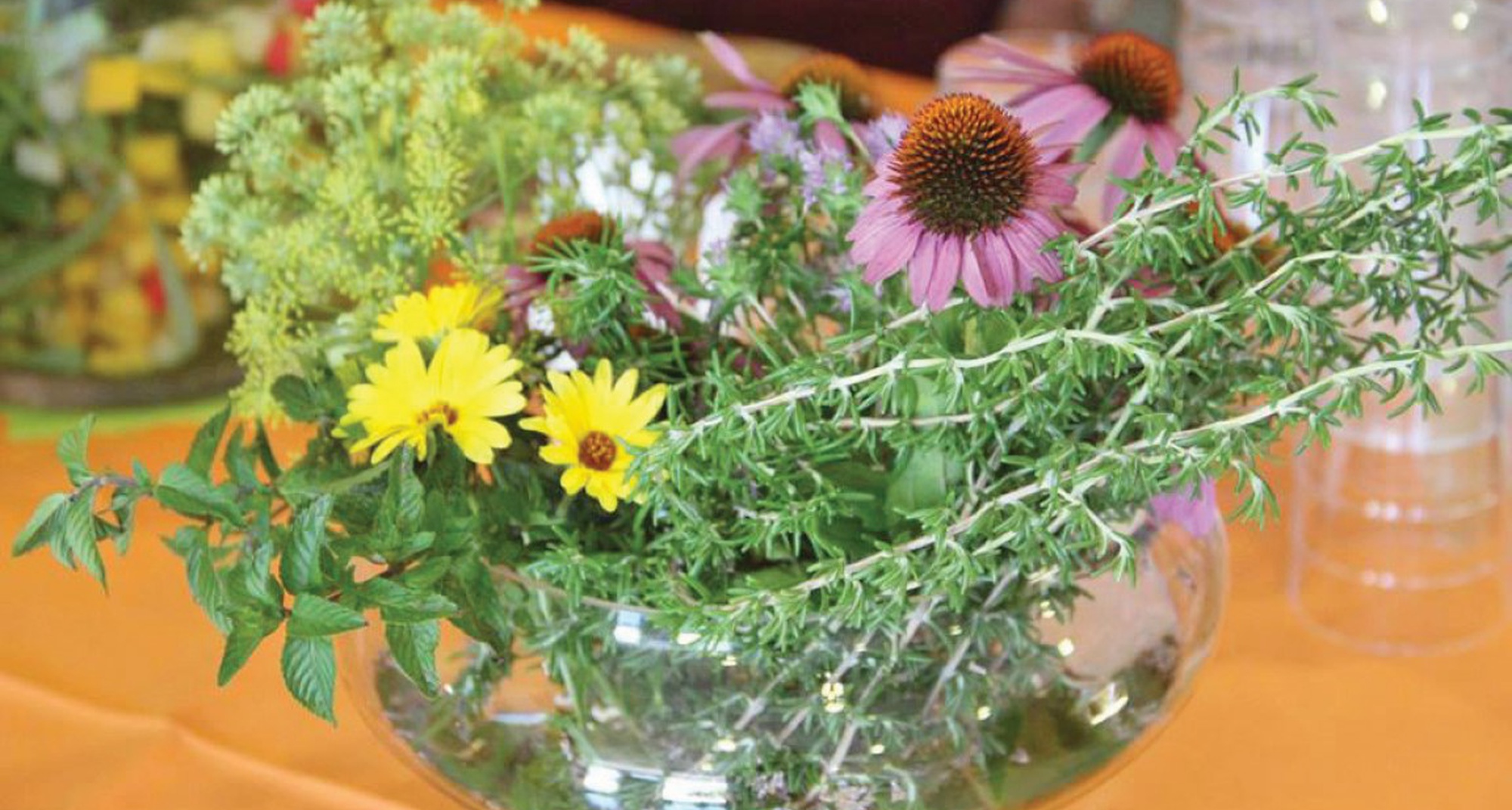 Oficina no Plantário - Jardim de Plantas Aromáticas