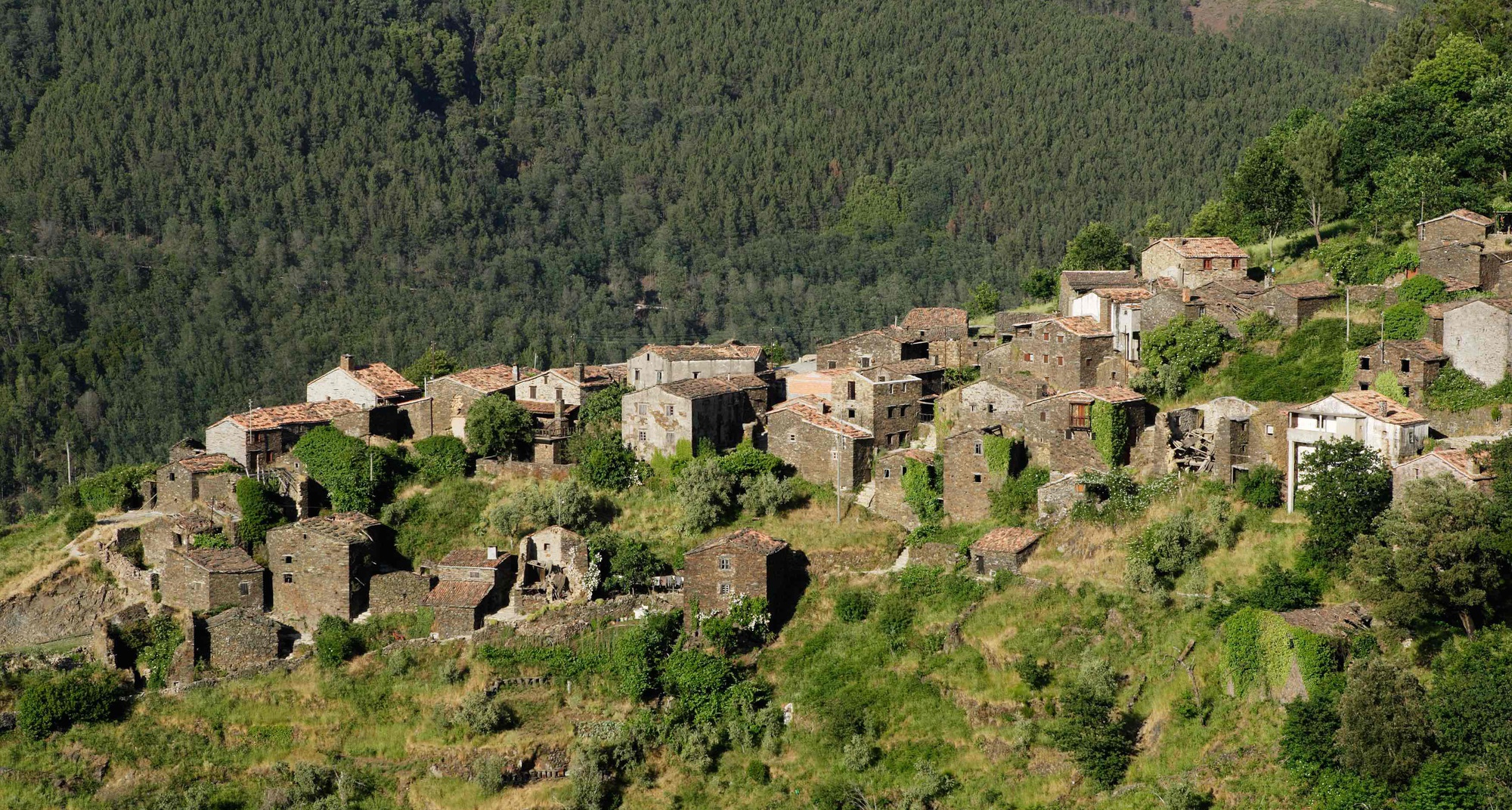 À Descoberta do Talasnal