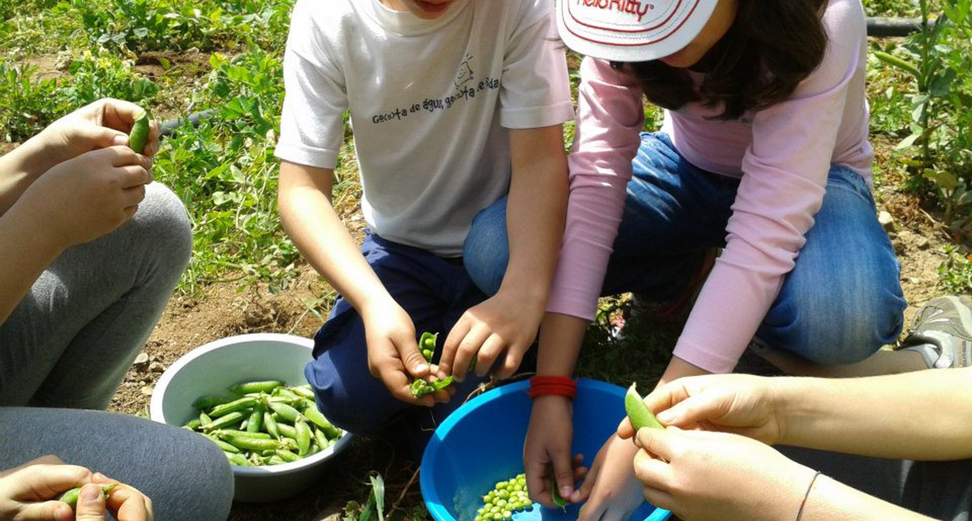 Domingos Aldeia Viva - Programa Dia Mundial da Criança