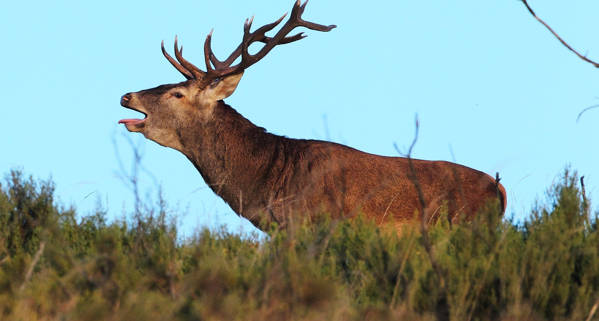 Caminhada na Serra da Lousã - Percurso dos Veados