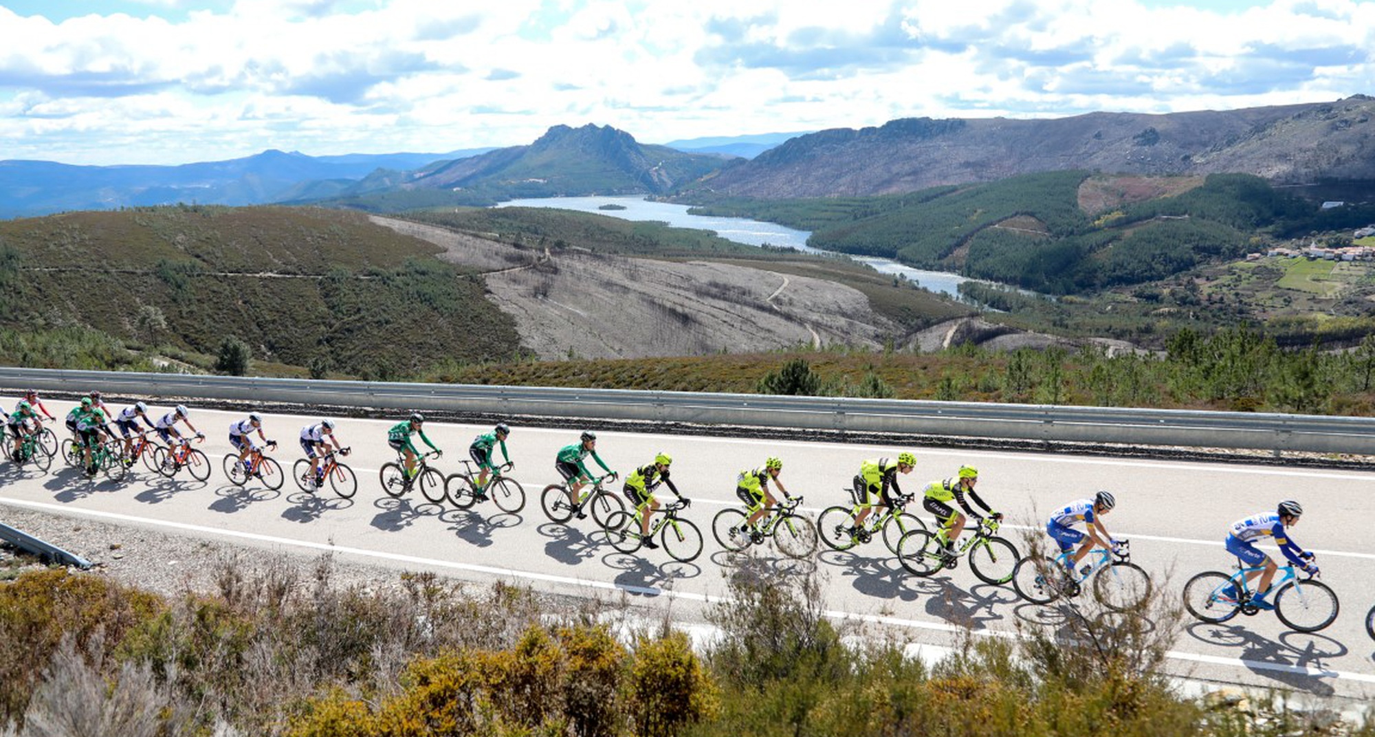 Pedalar Para Plantar