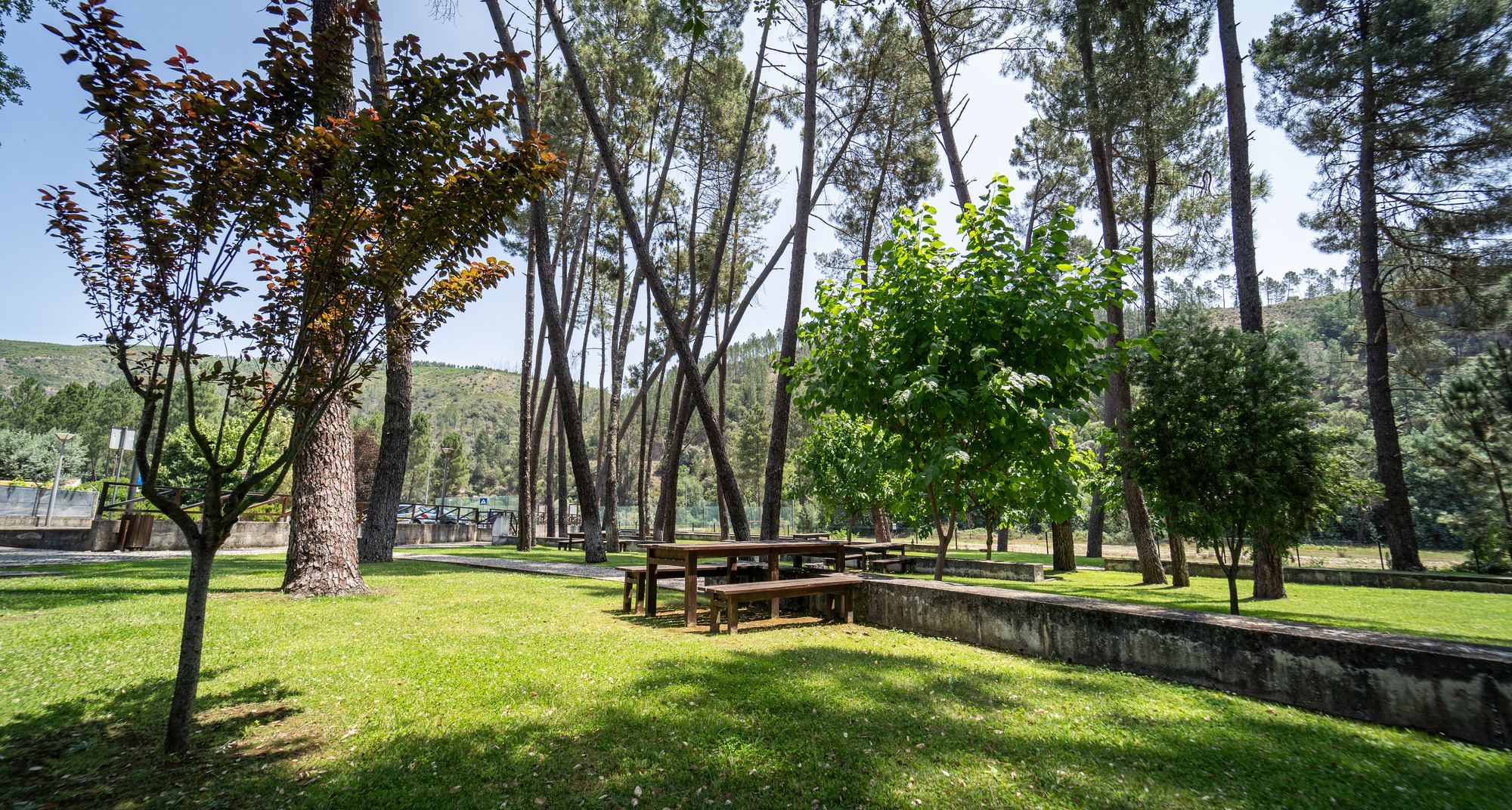 Ritmia Folk Fest - The rhythm of dances in the Schist Villages