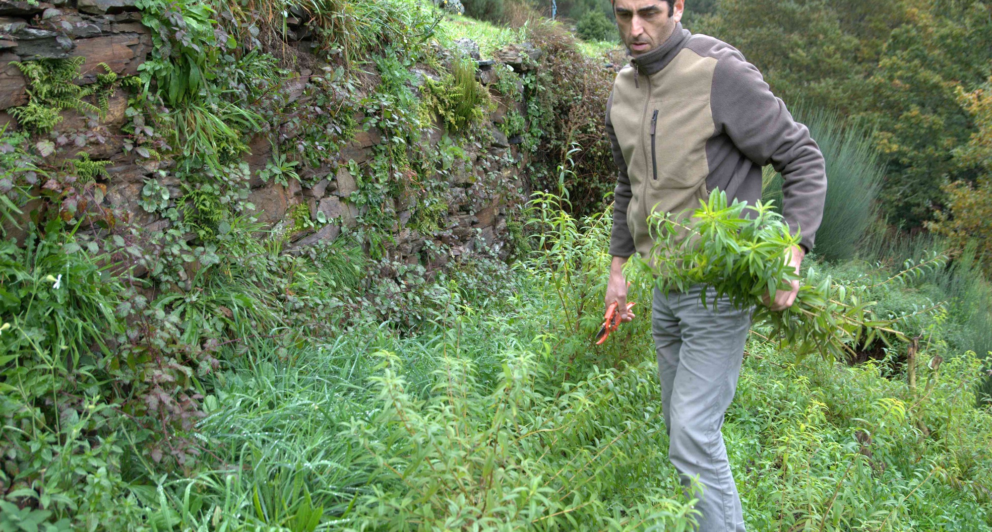 Degustação de Chás, doces e sais aromáticos
