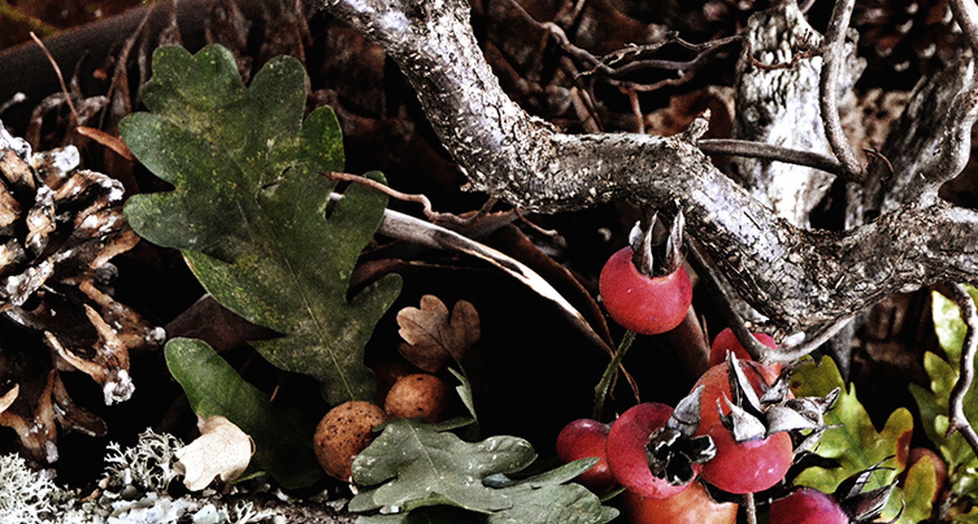 Atelier de Artes Decorativas